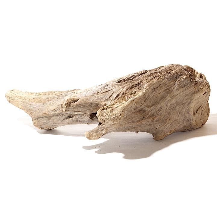 流木 インテリア レイアウト 61cm DIY アクアリウム 天然 rybk17