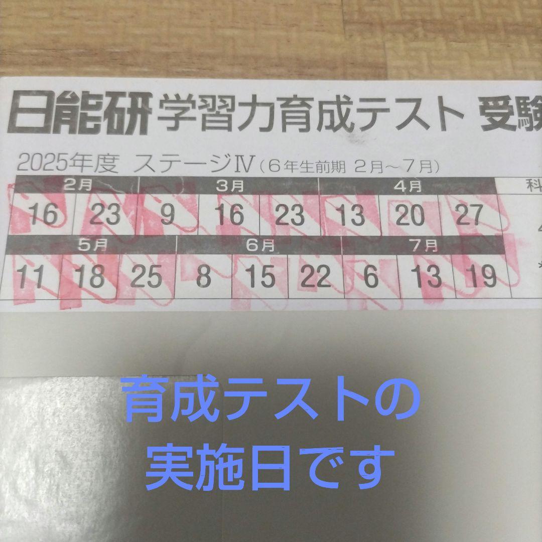 【最新版】日能研6年前期 育成テスト-春期講習-夏期講習フルセット