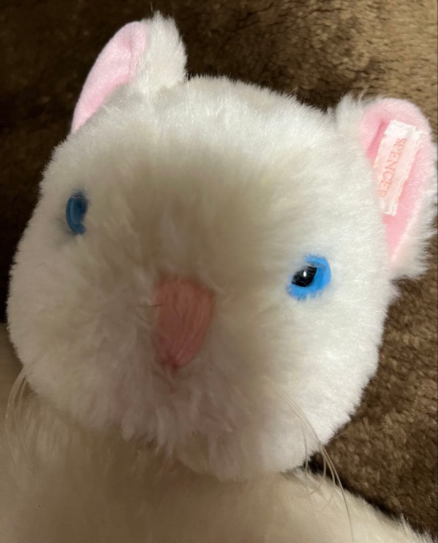 値下げ！レアALTHORPオルソープ SPENCER ダイアナ妃 猫 ぬいぐるみ