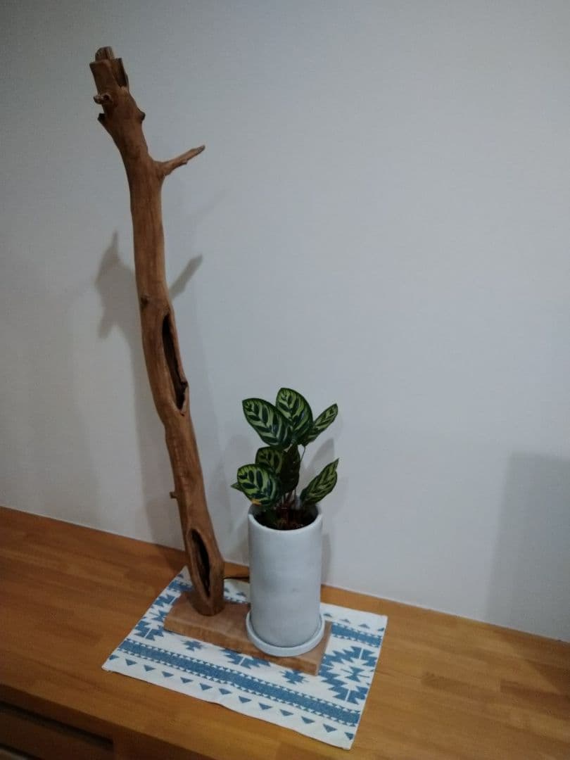 流木スタンドライト　インテリアライト　照明