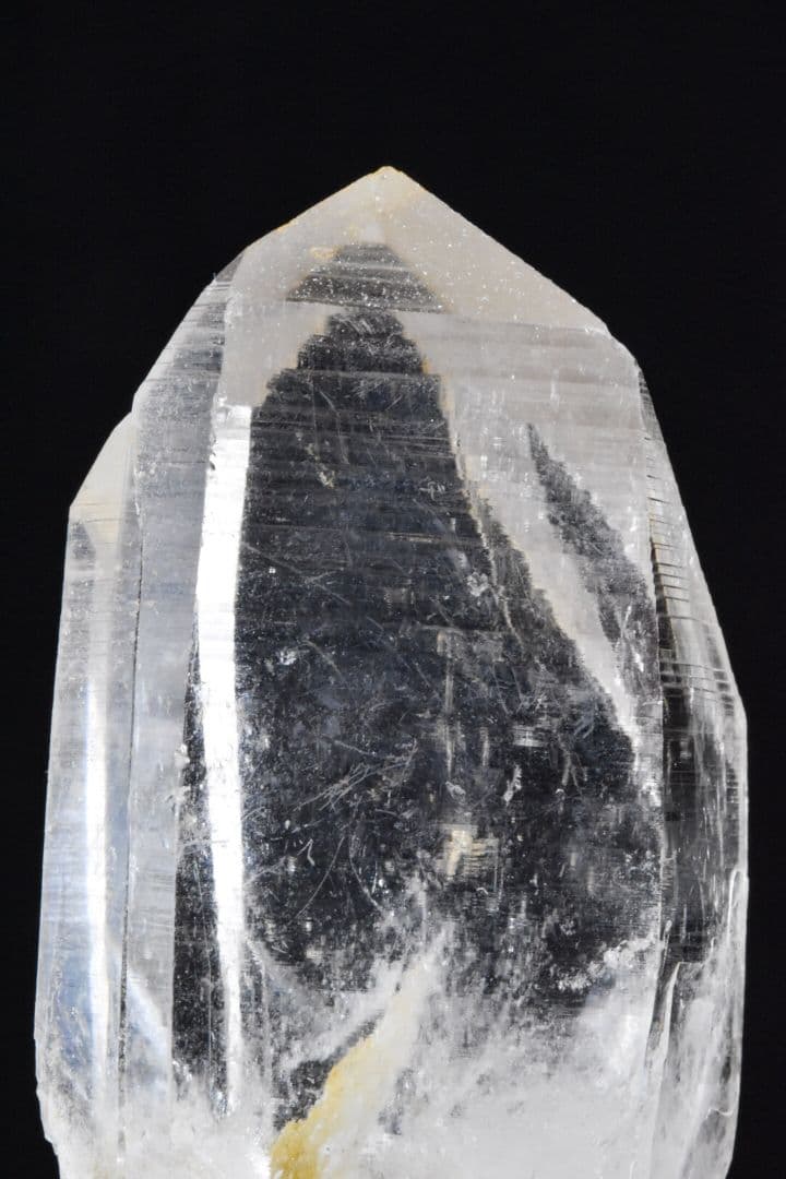 インドメルー産 ライトゴールデンヒーラー01