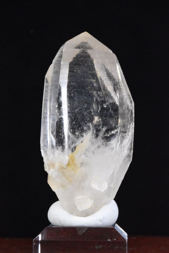 インドメルー産 ライトゴールデンヒーラー01