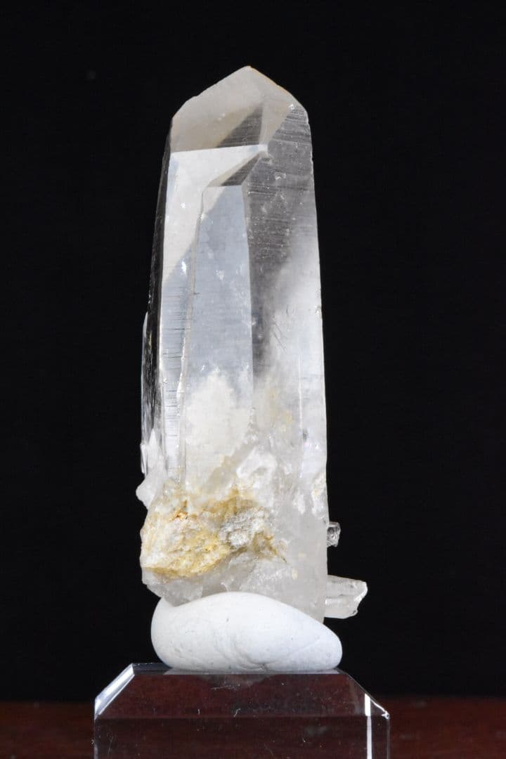 インドメルー産 ライトゴールデンヒーラー01