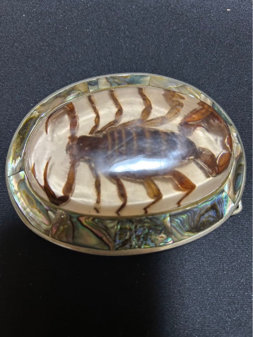 専用 サソリ　バックルベルト ベルトkmrii