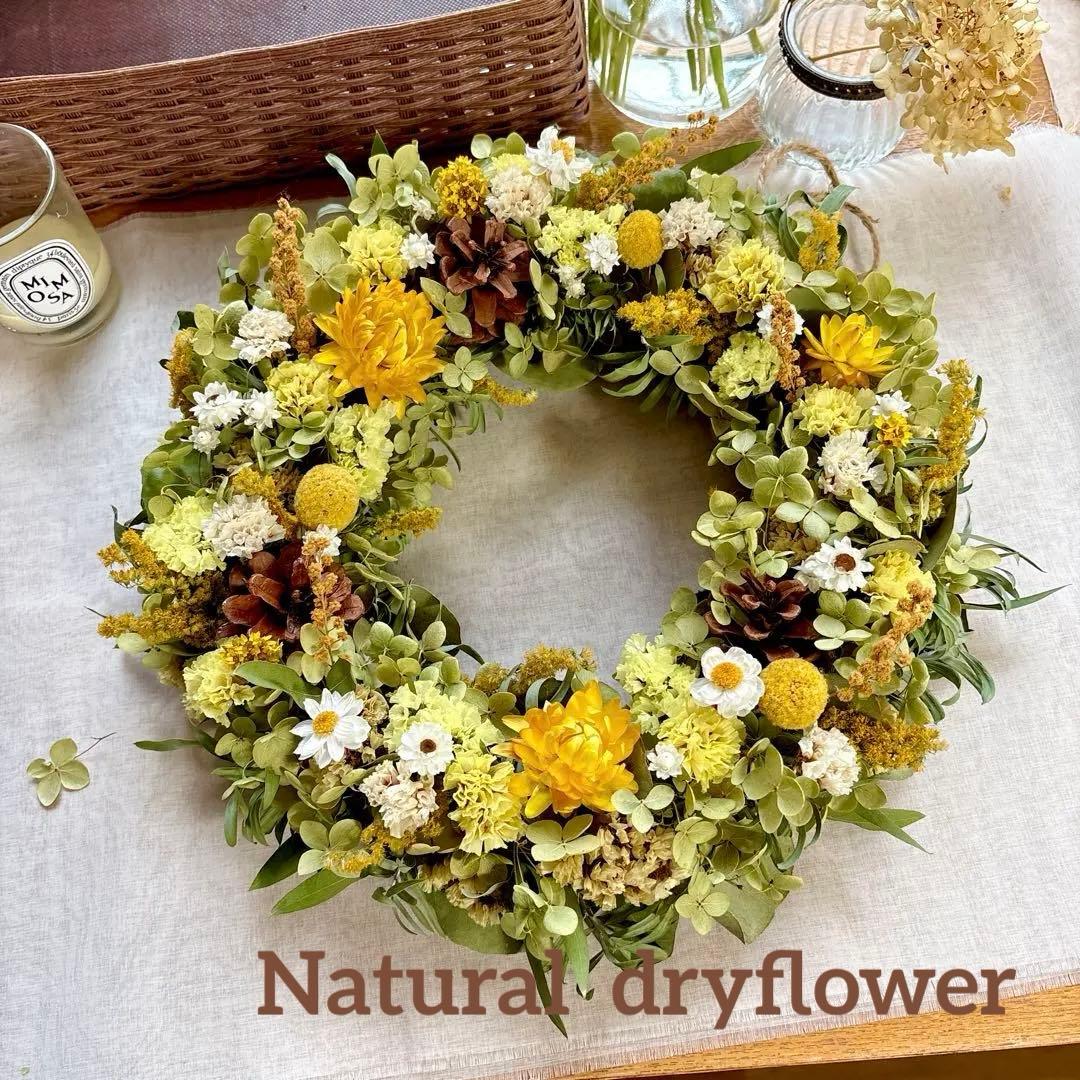 のり＊Natural＊イエロー&パープルリース ２個☆ドライフラワーリース