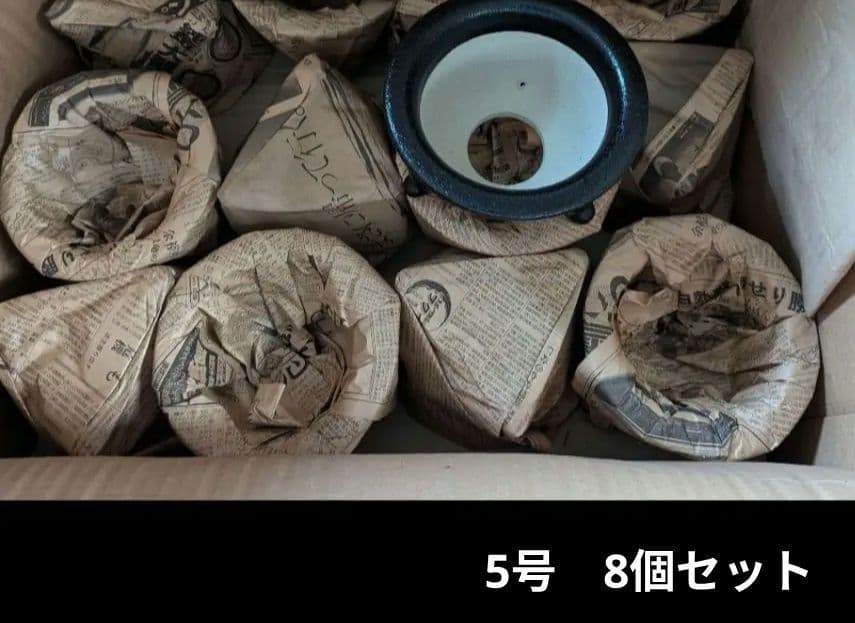 京楽焼　富貴蘭鉢　5号 8個