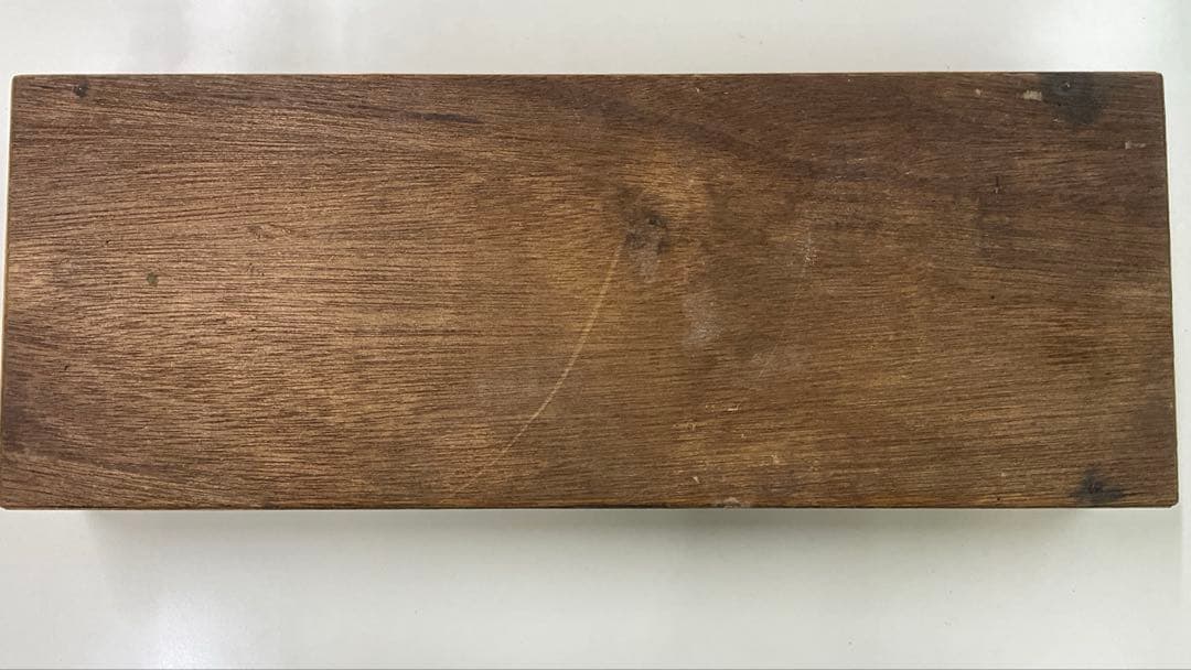 示準化石模型 5種セット 三葉虫 羊歯植物 床板さんご アンモナイトサメの歯