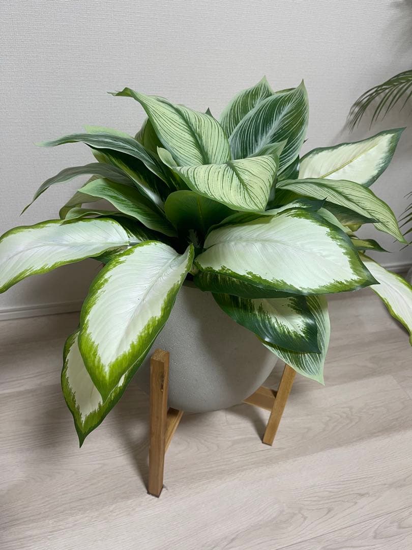 プリマ　prima ディフェンバキア エッグポット観葉植物 フェイクグリーン