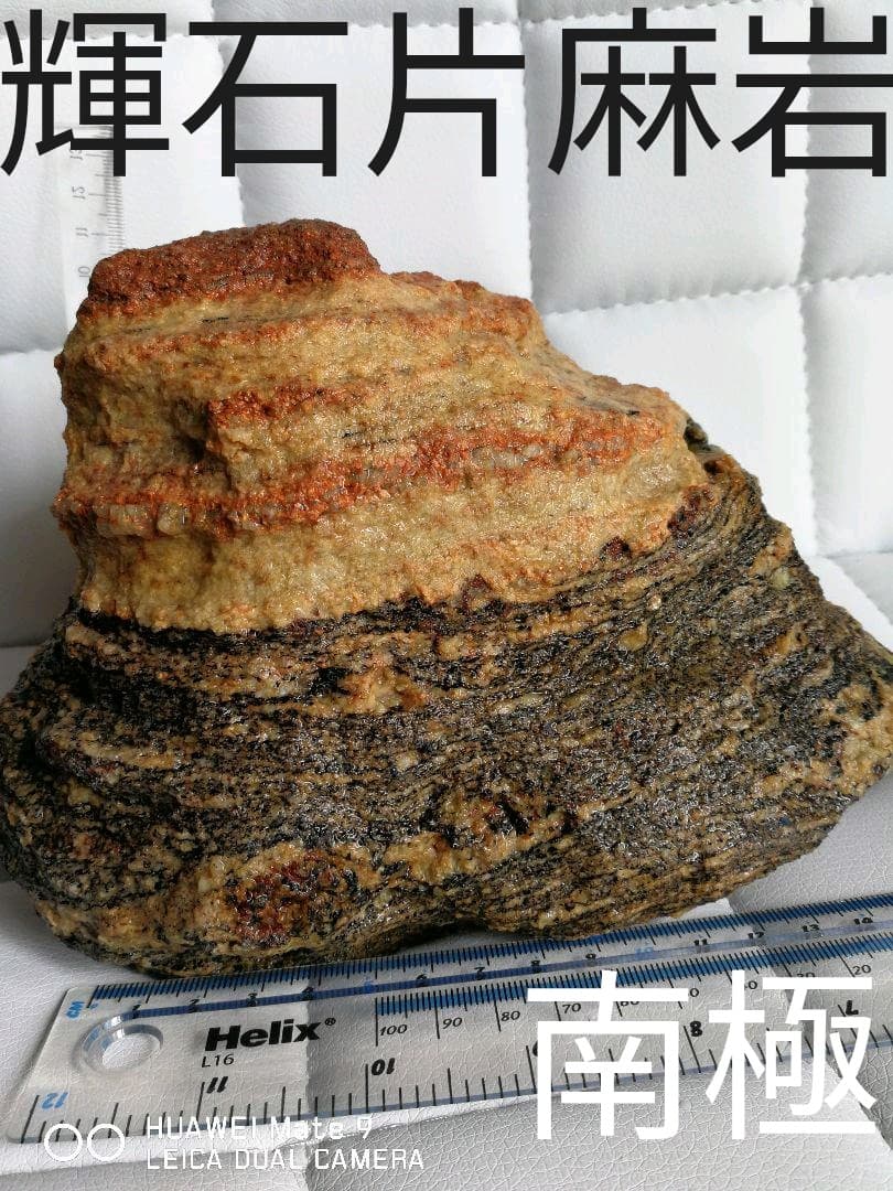 南極の石　複輝石片麻岩　貴重