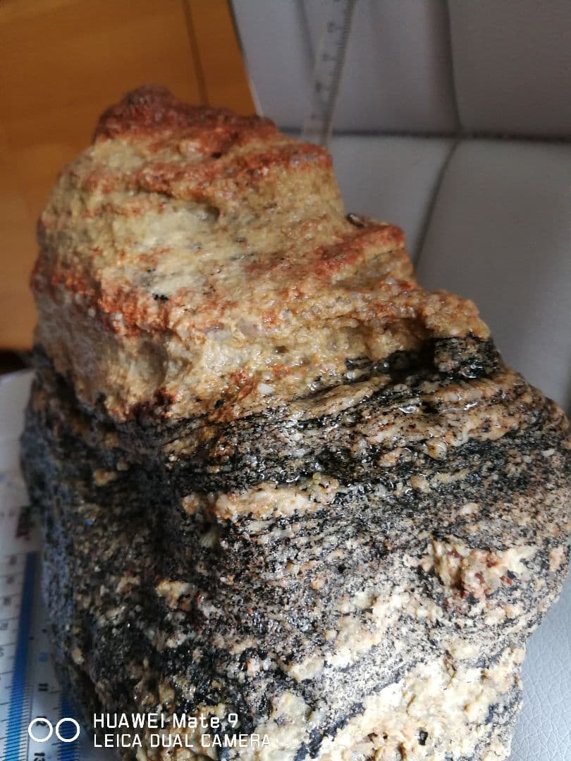 南極の石　複輝石片麻岩　貴重