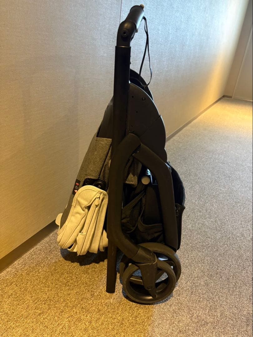 バガブー　ドラゴンフライ　名古屋市近郊直接受け渡し可能　雨よけカバーセット