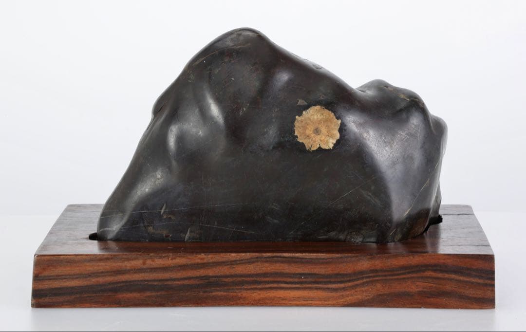 菊花石 花紋石 黒母岩 台座付 2.2kg 鑑賞石 自然石 原石 水石 盆石