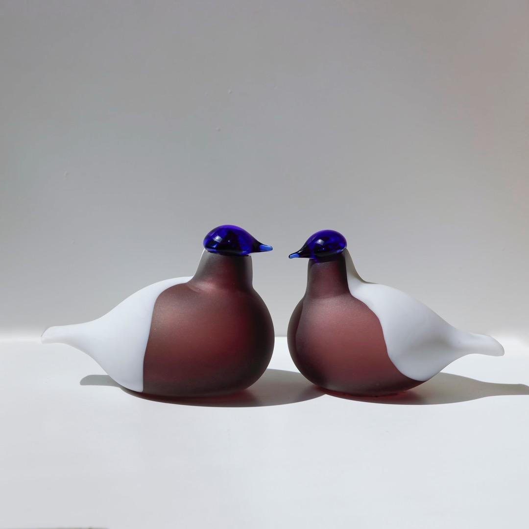 Purple Finch オイバトイッカ　イッタラ　バード　oiva