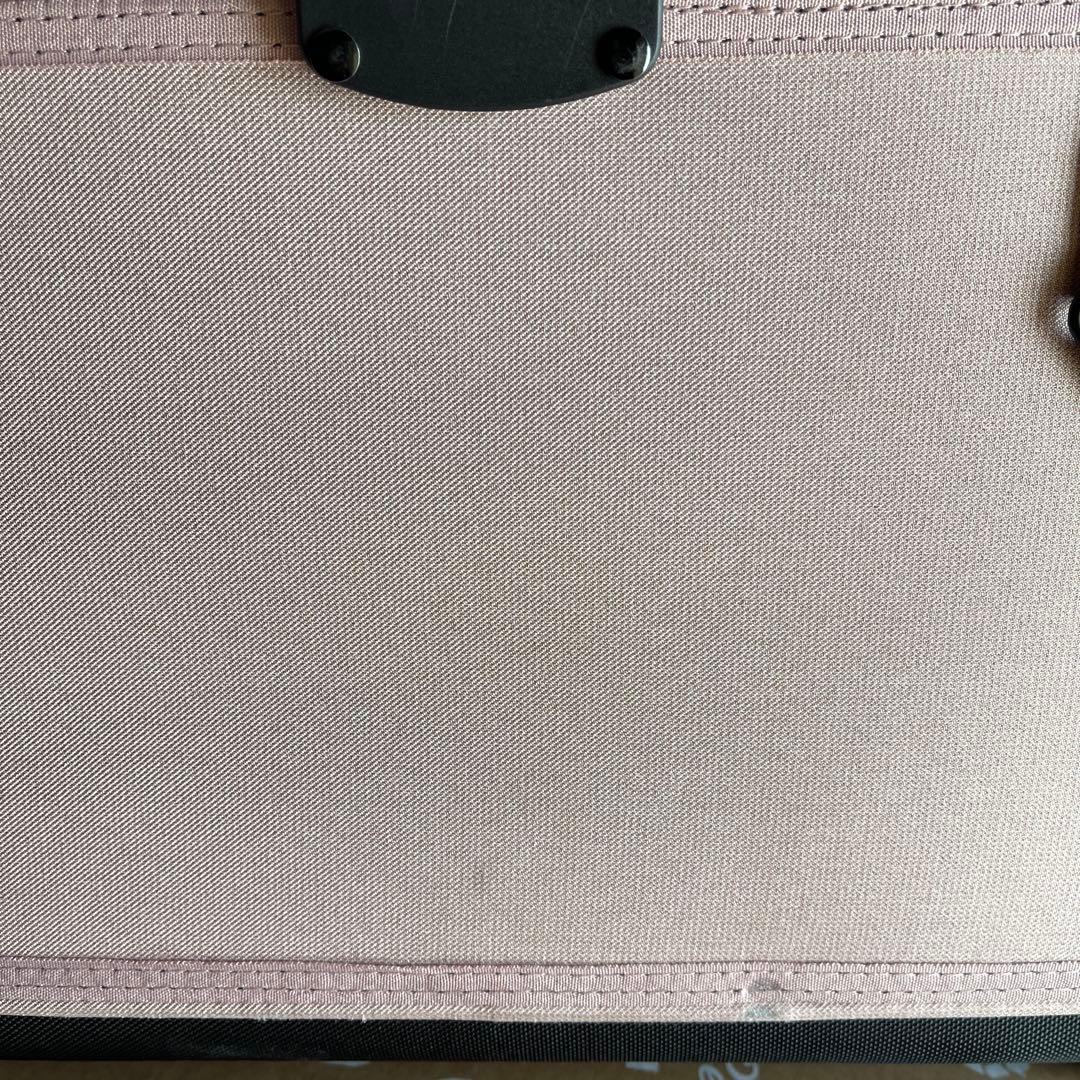 専用ご確認　AIRBUGGY ドーム3ラージ　ブロッサム　セット販売