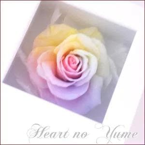 【高級プリザーブドフラワー】パステルレインボーローズ ホワイトフレームボックス