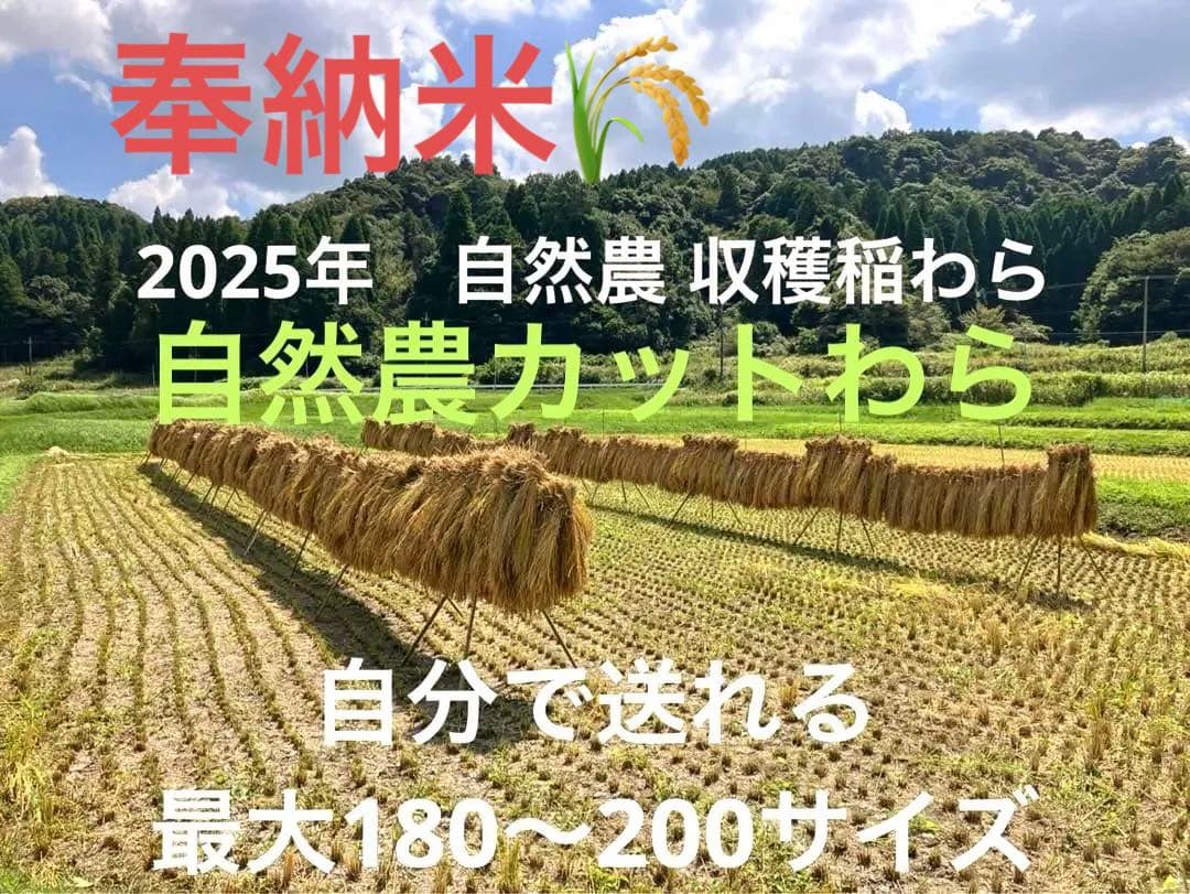 2025年収穫 無肥料　農薬不使用　カット稲わら 発送最大180〜200サイズ