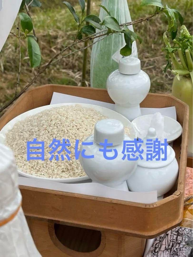 2025年収穫 無肥料　農薬不使用　カット稲わら 発送最大180〜200サイズ