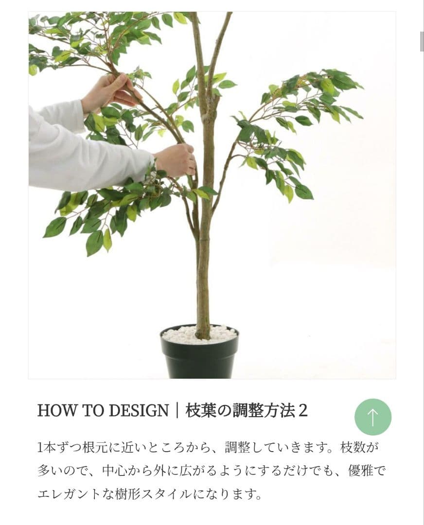 150cm　フェイクグリーン　ベンジャミン(フィカス)　光触媒　観葉植物