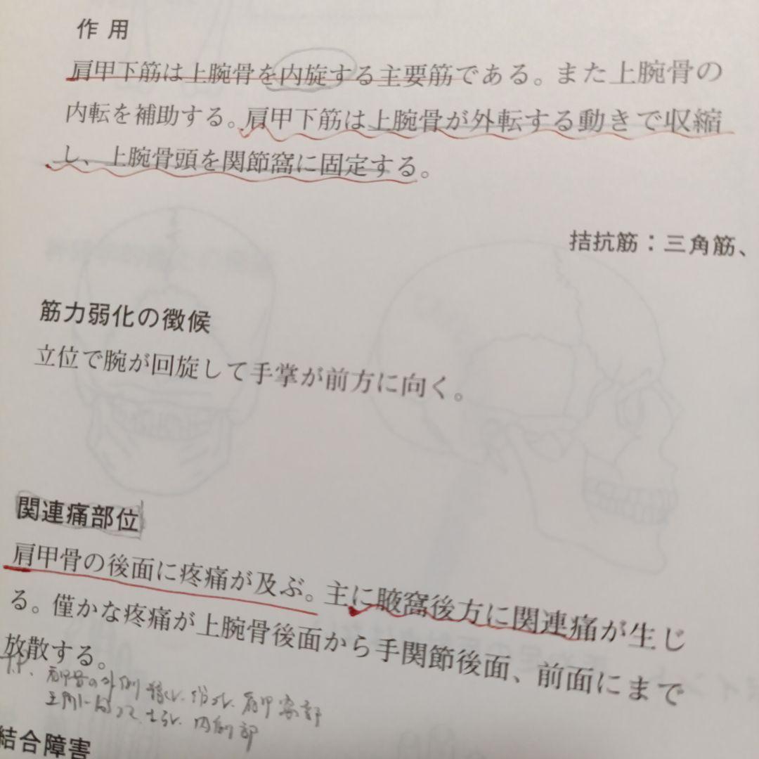 アプライドキネシオロジー　　 フローチャートマニュアル 下巻