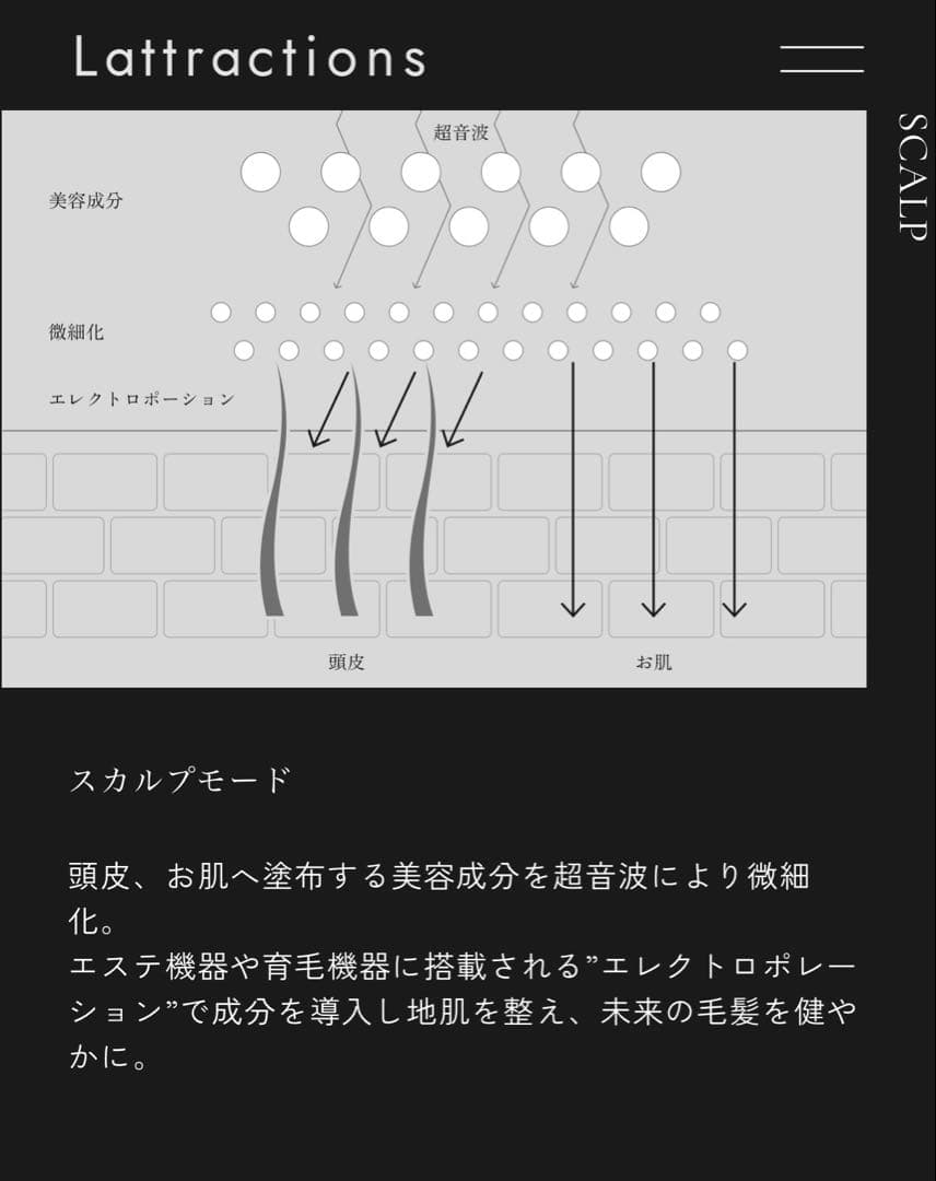 【美品】lattractions 美容コーム カラー トリートメント スカルプ