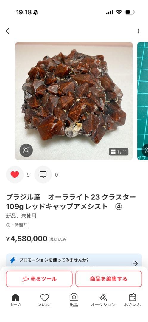 Borders@インフル中評価遅様確専用