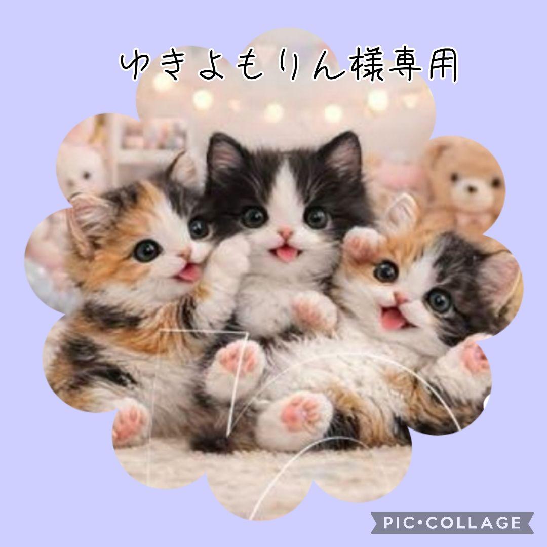 【2月】ゆきよもりん