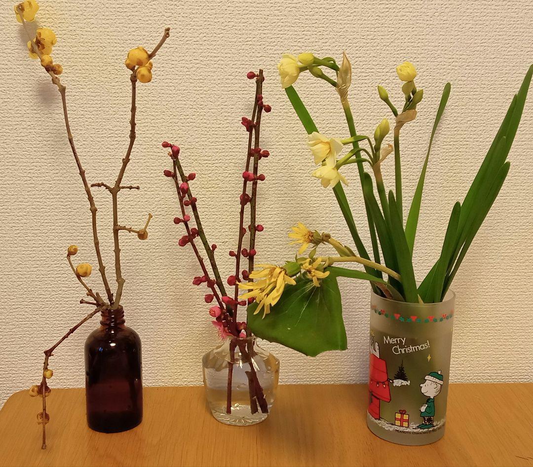 購入不可　注文ページ