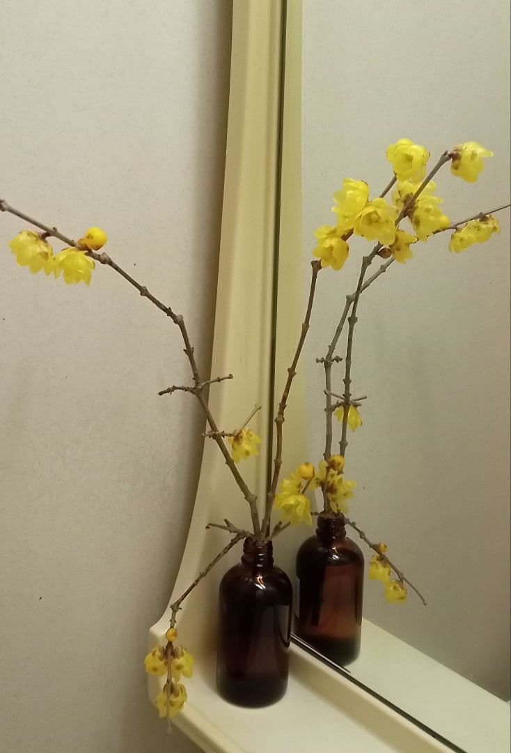 購入不可　注文ページ