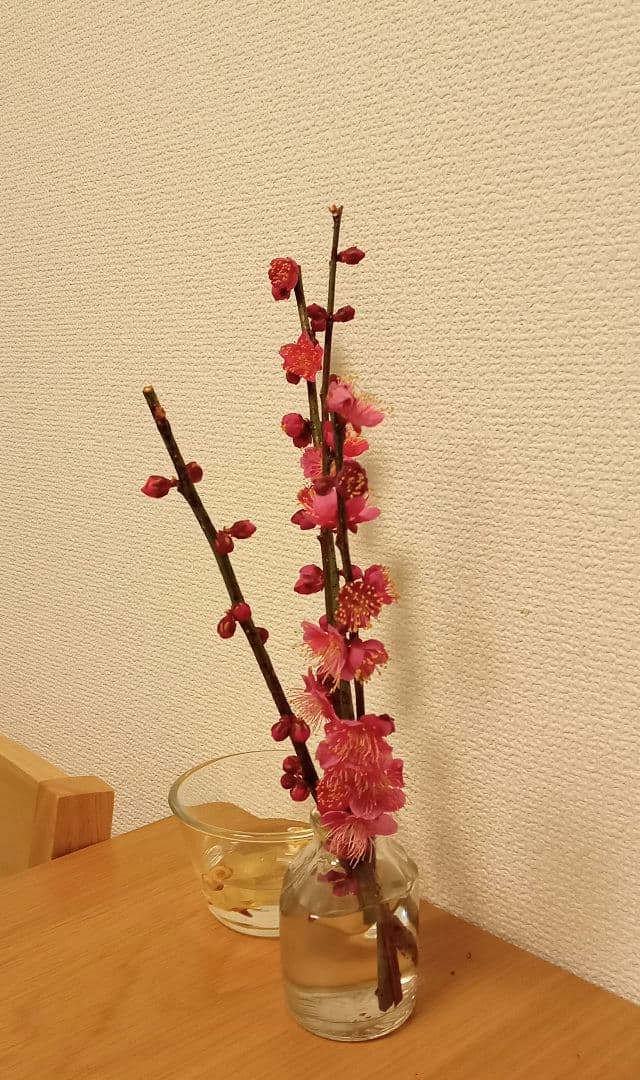 購入不可　注文ページ