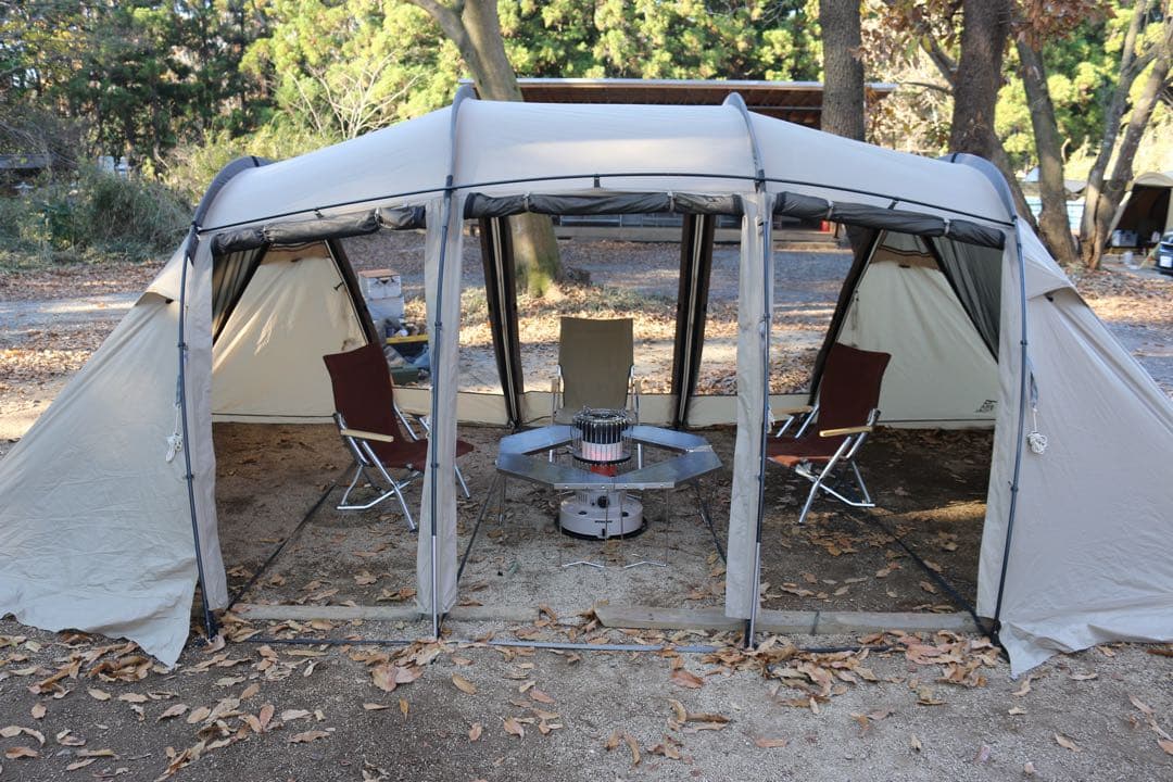 SABBATICAL アルニカ　2020年製