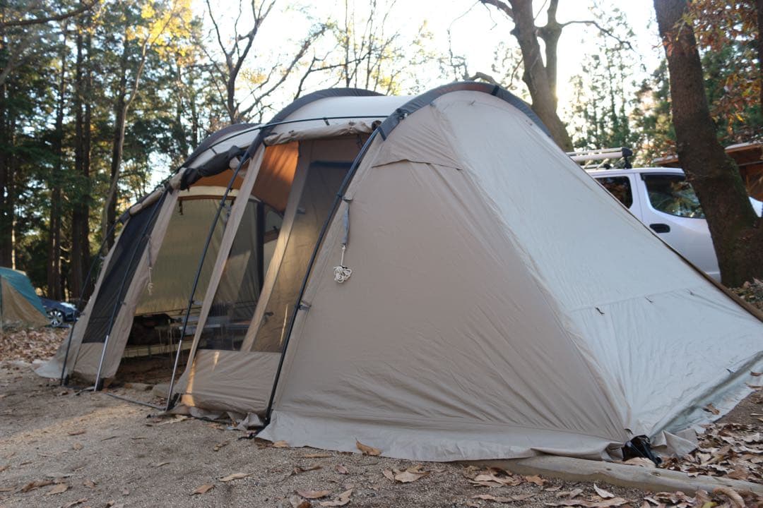 SABBATICAL アルニカ　2020年製