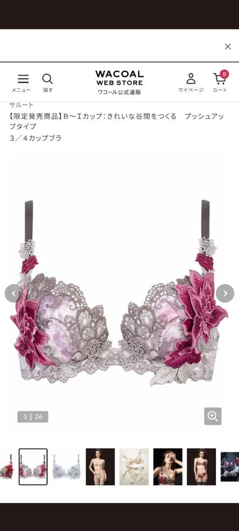 ワコール、サルート90グループブラジャーD70完売品。