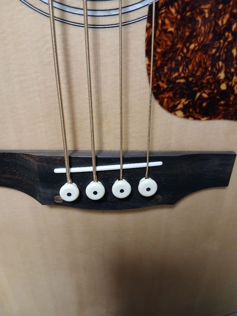 GUILD アコースティックベース 4弦 B-240E