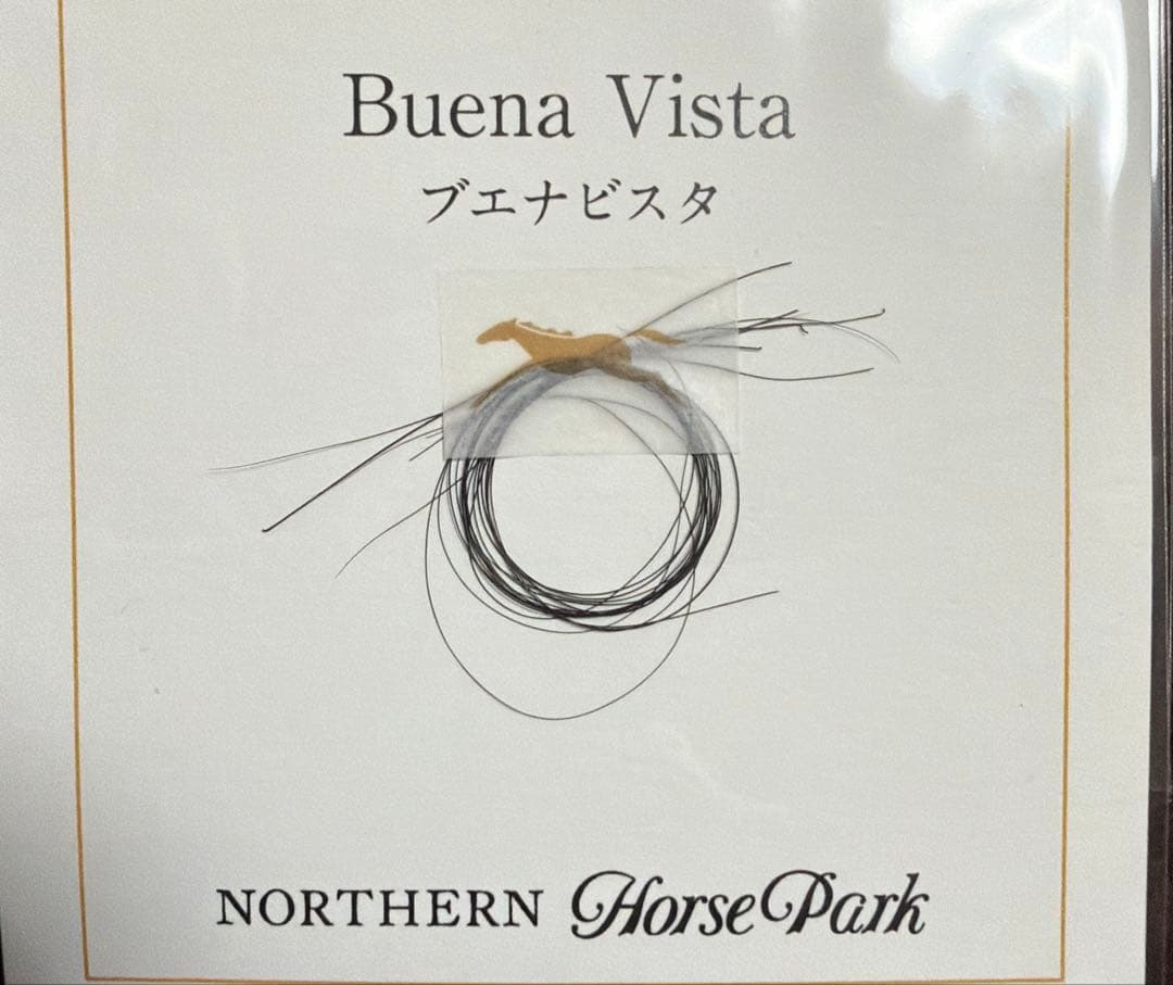 ブエナビスタ　タテガミ　2025