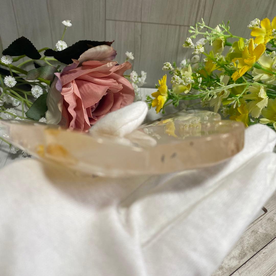 ゴールデンヒーラー ちょうちょ ②