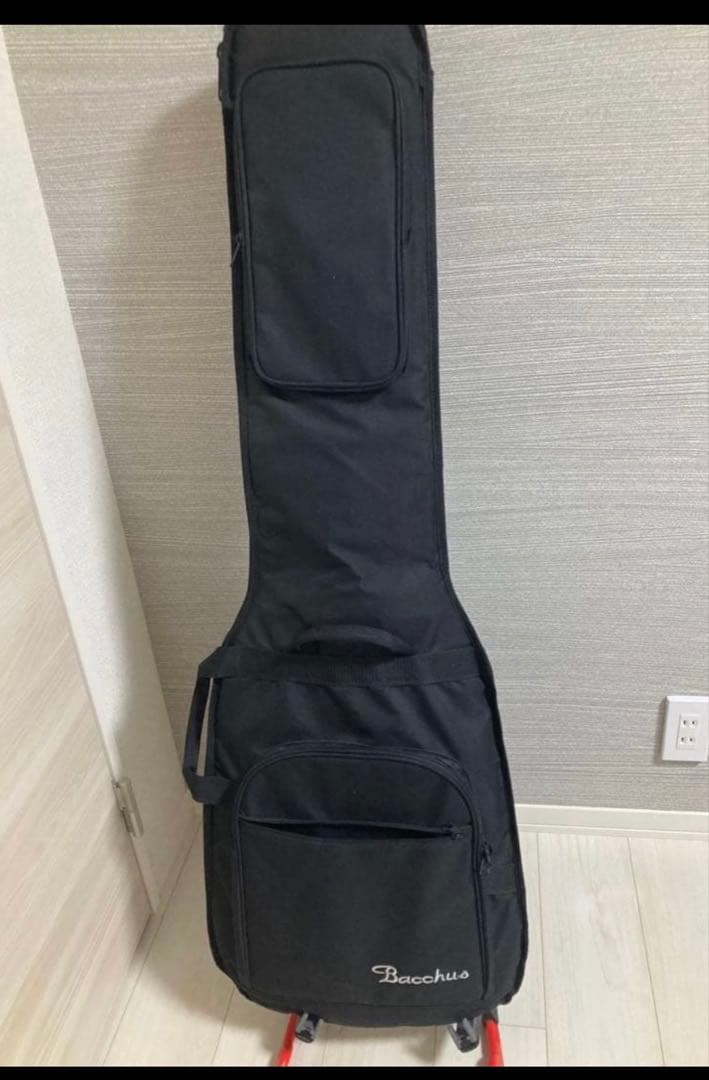 ずんだ　　希少！Bacchus エレキベース アッシュ　ホロウボディ