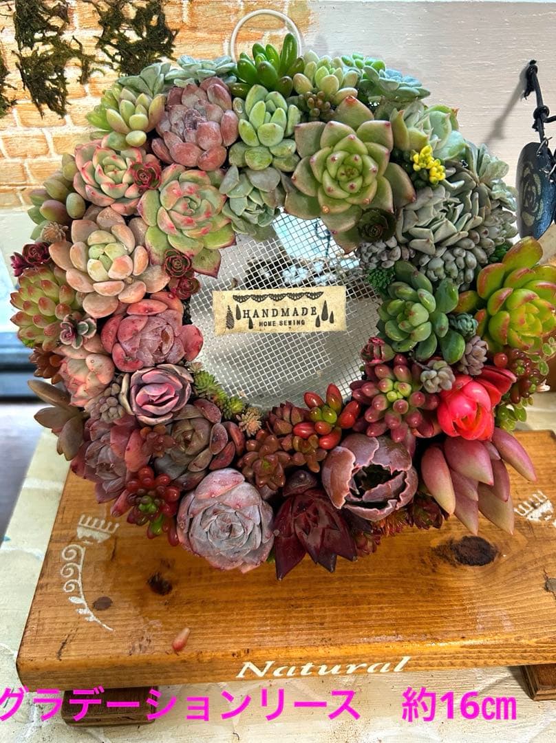 ❤️ Xmas SALE❤️多肉植物そのまま飾れる❤️多肉グラデーションリース❤️