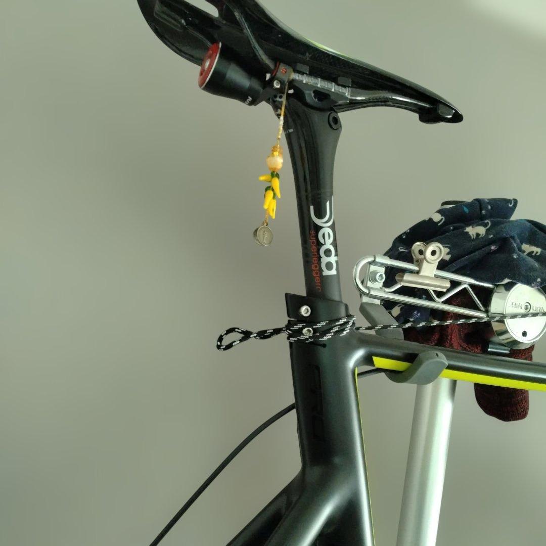 2020　Tern Surge pro delta color