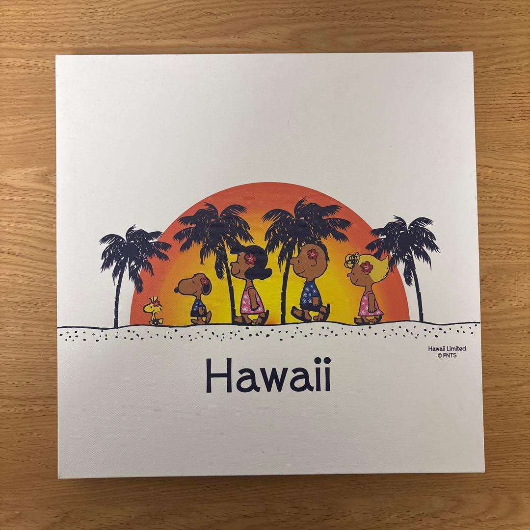 日焼けスヌーピー　キャンバス画　ハワイ限定品　アート