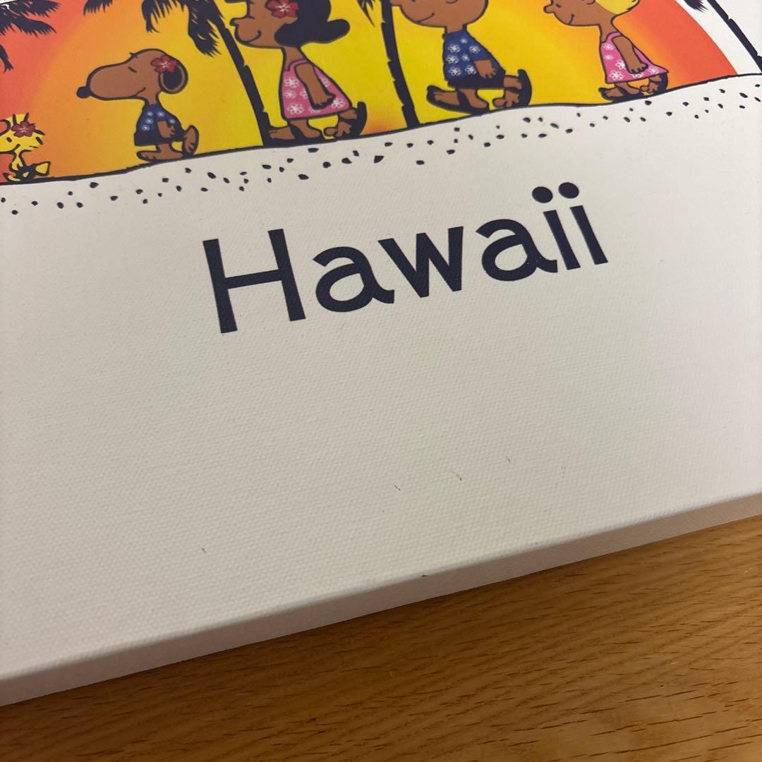 日焼けスヌーピー　キャンバス画　ハワイ限定品　アート