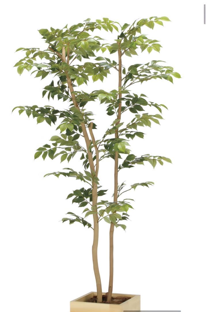 光触媒　人工観葉植物　フェイクグリーン　ウッドボックスマウンテンアッシュ1.6m