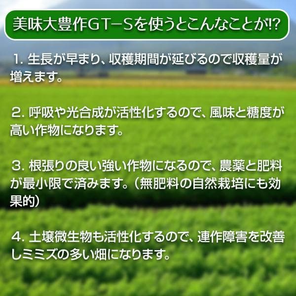 植物活力液 美味大豊作GT-S ２０リットル 作物が早く大きく育ち収穫量も増加！