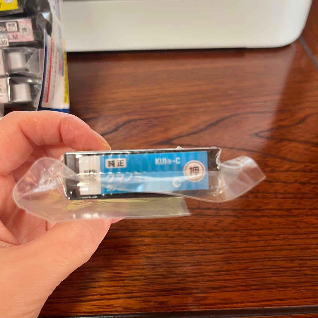 ジャンク　エプソン　カラリオ　プリンター　EP-880AW インク付き