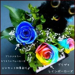 【高級プリザーブドフラワー】レインボーローズ　クロネコ & ピアノ