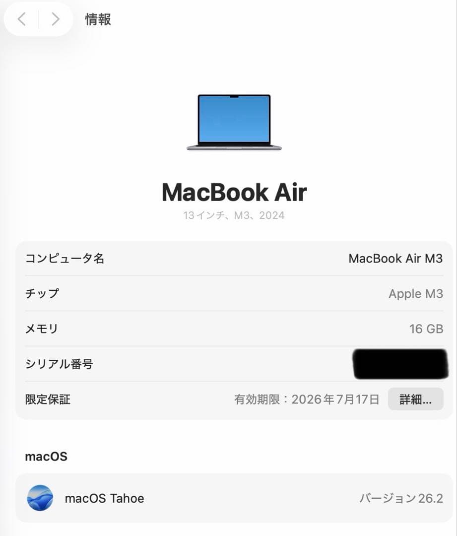 【完美品】MacBook Air M3 13インチ 16GB 256GB保証有り