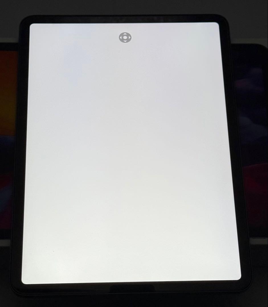 IPad Pro 11インチ第ニ世代 256gb Apple pencil