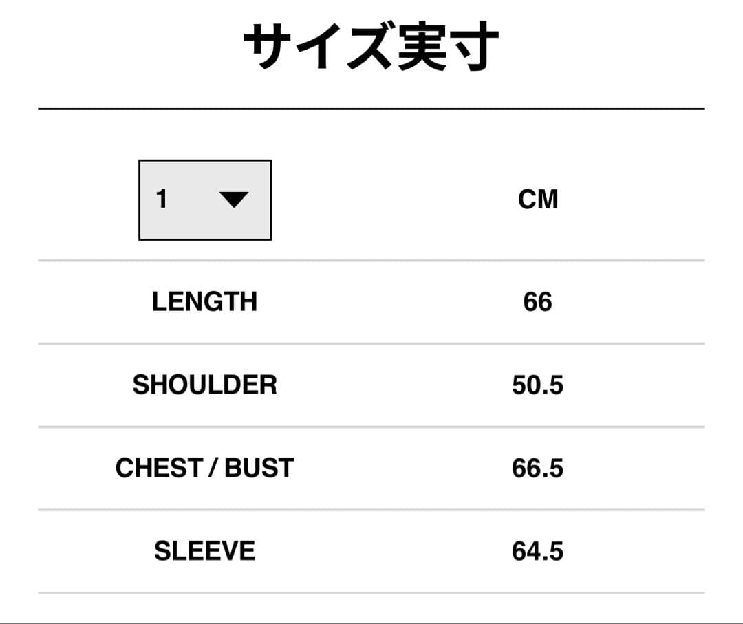 サイズ１ sacai Carhartt WIP Nylon Twill MA-1