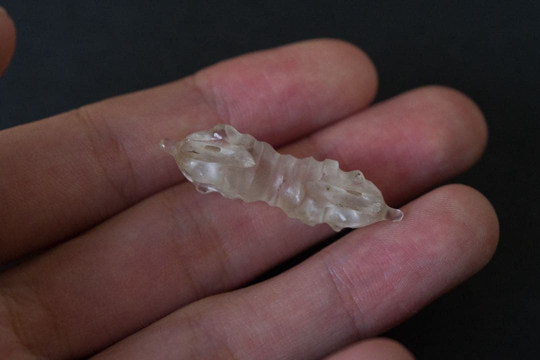 クリスタル　ドルジェ