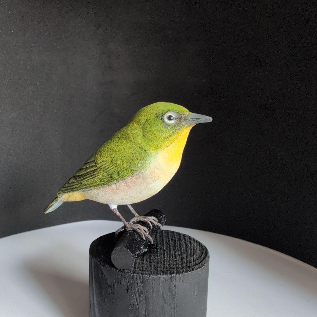 メジロ　バードカービング　野鳥彫刻　　　　　　　 　　　　木彫りの野鳥
