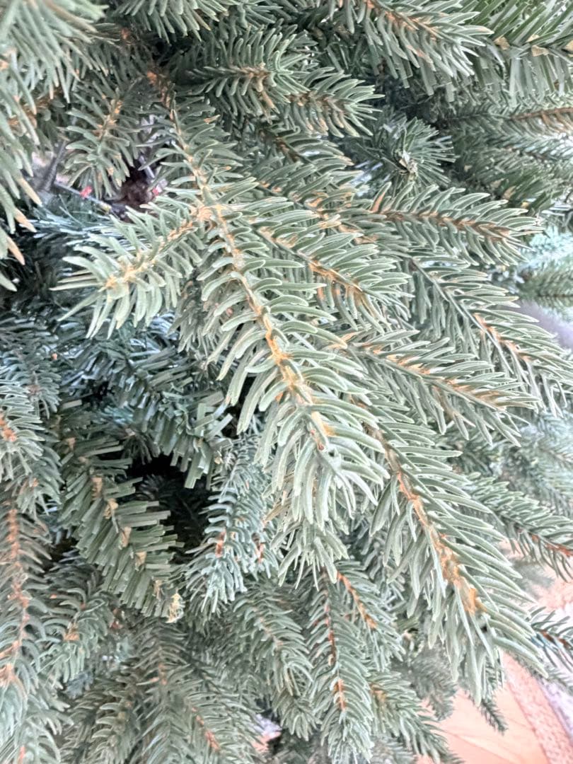 【190cm引き取り限定】クリスマスツリー COSTCO コストコ